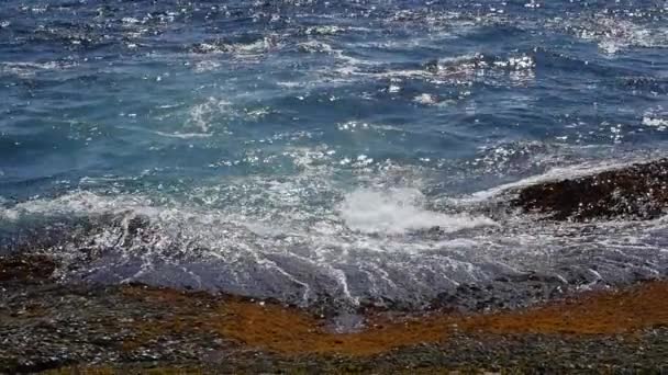 Rotsachtige graniet Oceaan kust — Stockvideo