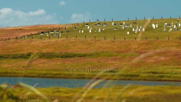 Tráva ve větru na malém hřbitově — Stock video