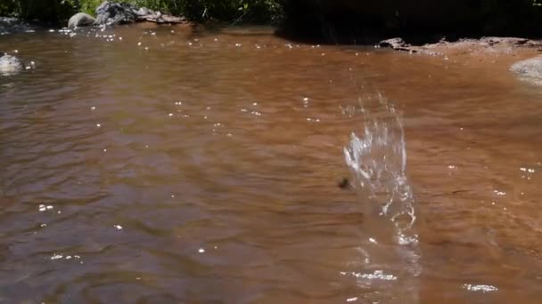 Saltar piedras en un arroyo desértico — Vídeo de stock