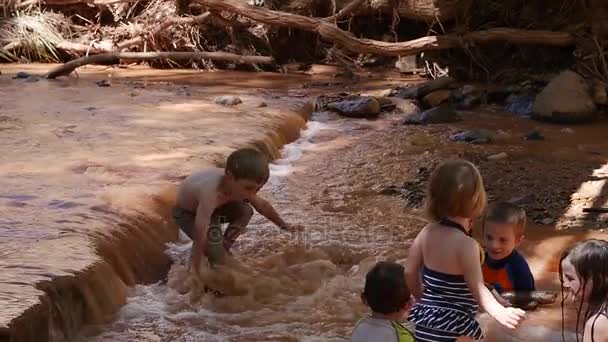 Kinderen spelen in de woestijn rivier — Stockvideo