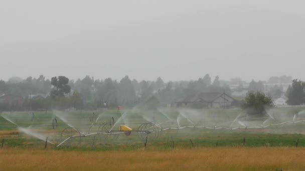 Aspersores regando um campo durante a tempestade de chuva — Vídeo de Stock