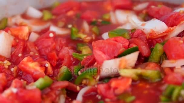 Cansando uma panela fresca de salsa vegetal — Vídeo de Stock