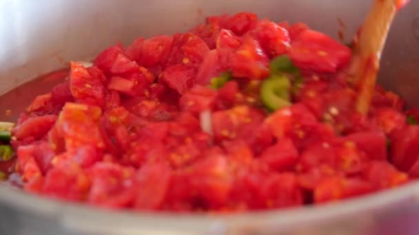 Stiring verse pot plantaardige salsa — Stockvideo