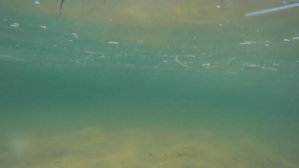 Solen reflekteras på havsytan på golvet — Stockvideo
