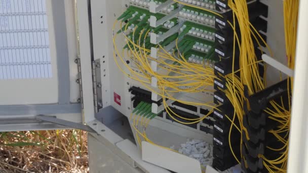 Técnico trabajando en la caja de telecomunicaciones al aire libre — Vídeos de Stock