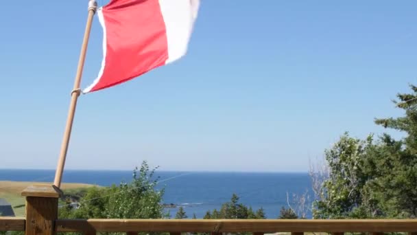 Bandera canadiense ondeando en el viento — Vídeo de stock