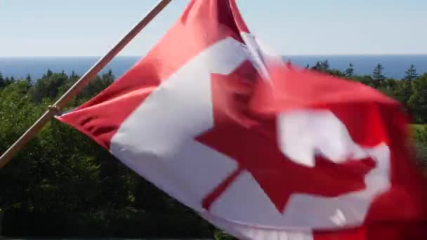 Канадский флаг, размахивающий ветром — стоковое видео