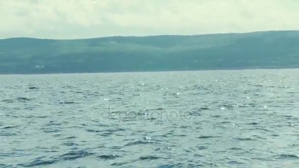 En familj ride på en fiskebåt i havet — Stockvideo