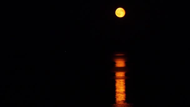 Moons reflektion på havet — Stockvideo