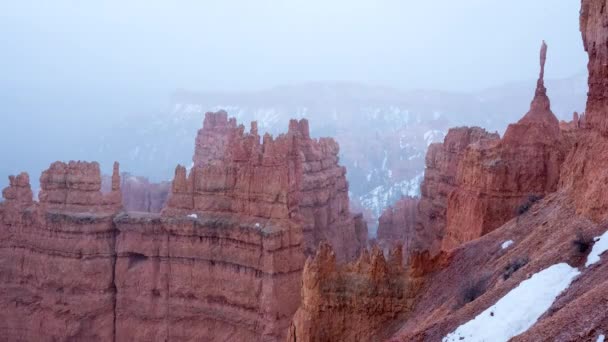 Blizzard des neiges dans le parc national du Canyon-Bryce — Video