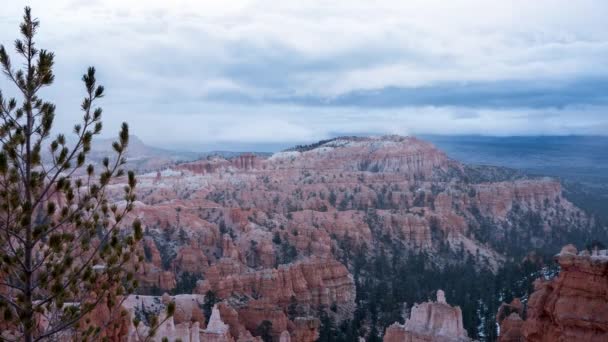 Besneeuwde blizzard in Bryce Canyon National Park. — Stockvideo