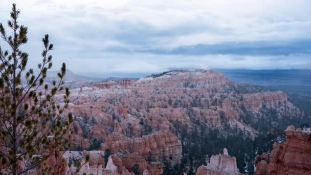 Karlı blizzard Bryce Canyon Milli Parkı'nda — Stok video