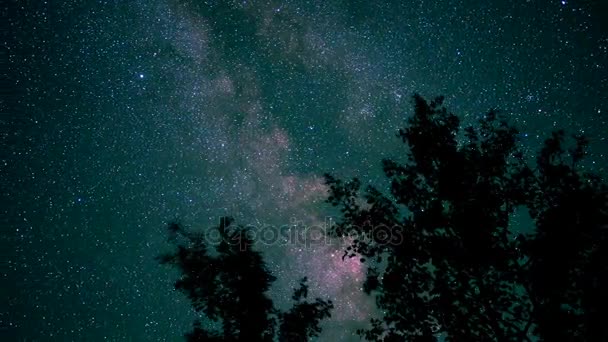 Timelapse forma leitosa através de árvores — Vídeo de Stock