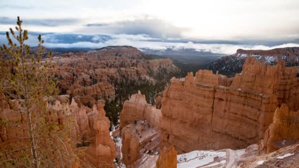 Karlı Bryce Canyon Milli Parkı — Stok video