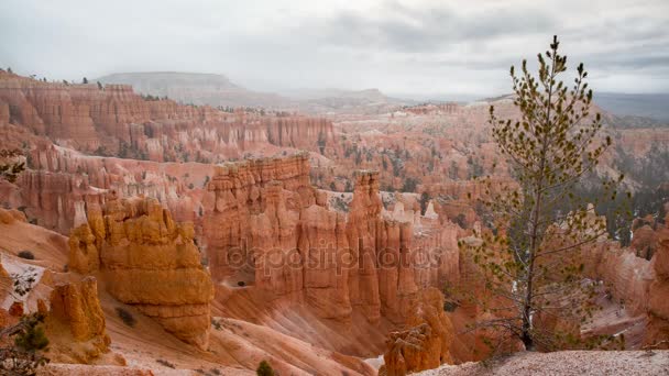 Bulutlar Bryce Canyon Milli Parkı — Stok video