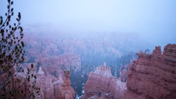 Sneeuwstorm van sneeuw in Bryce Canyon National Park. — Stockvideo