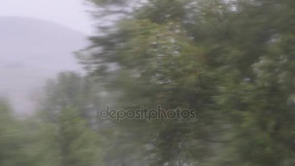 Träd som blåser i regn storm genom vattnig fönster — Stockvideo