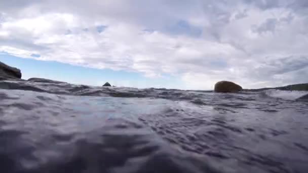 Sob Tiro Sobre Água Vegetação Marinha Corrente Oceânica — Vídeo de Stock