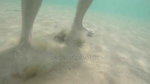 Ноги, идущие в океан пляж — стоковое видео