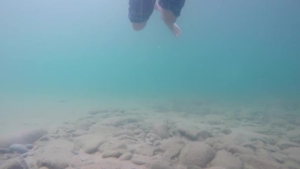 Sous l'eau un homme foulant l'eau dans l'océan — Video