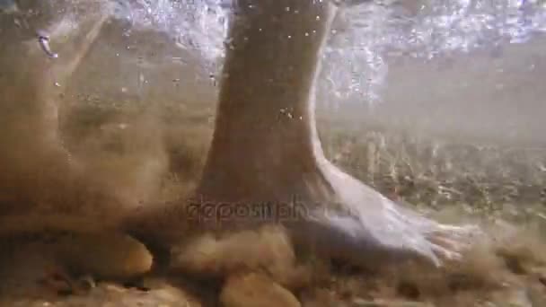 Piedi a piedi nella spiaggia dell'oceano — Video Stock