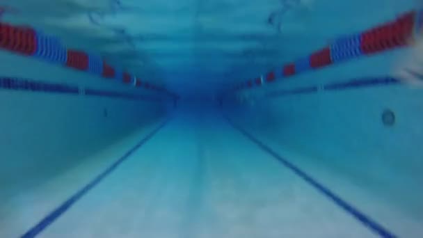 Mann schwimmt Brustschwimmen — Stockvideo