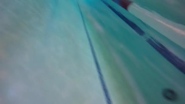 Hombre natación estilo libre — Vídeo de stock