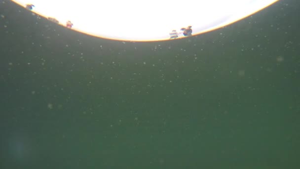 Meninos que pescam em uma doca de lago — Vídeo de Stock