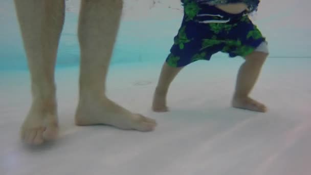 아버지와 유아 수영장에서 걷기 — 비디오