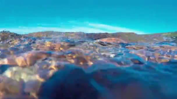 Rotsen en de oceaan vegetatie op oever — Stockvideo