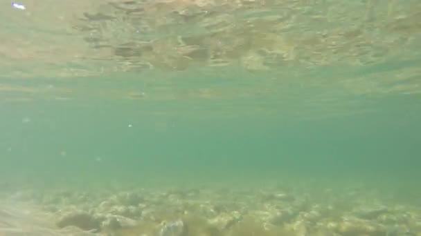 Unterwasseraufnahme der Oberfläche der Meeresküste — Stockvideo