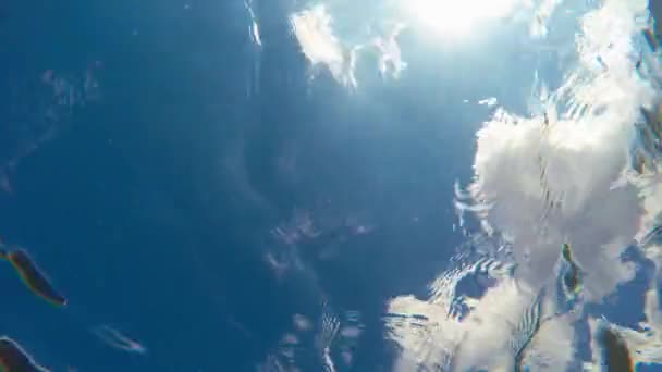 Поверхня води і відображення з хмарами — стокове відео