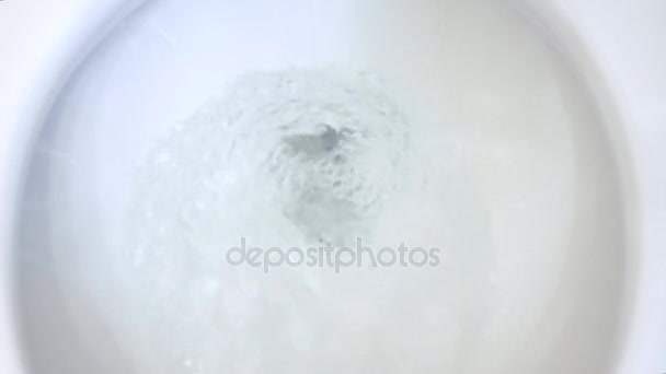 Water in het toilet spoelen — Stockvideo