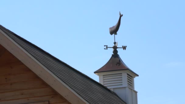 Wiatrowskaz wieloryb na barn cupola — Wideo stockowe