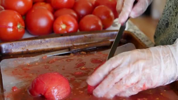 Vrouw snijden tomaten voor salsa in haar keuken — Stockvideo