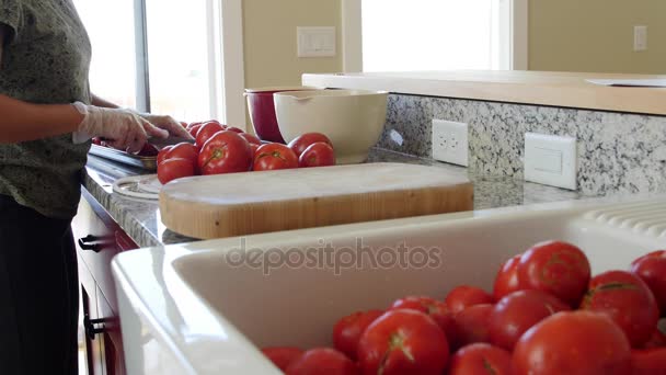 Mujer hace salsa fresca con tomates — Vídeo de stock