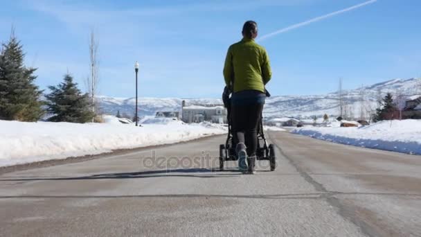 Женщина выгуливает мальчика в коляске — стоковое видео