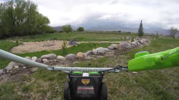 Handlebar and mower mowing tall grass on the lawn — Stock Video