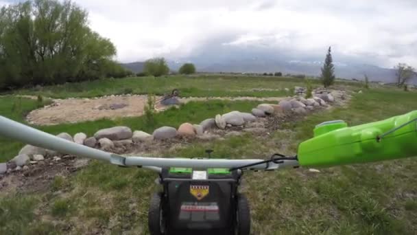 Stuur en maaien van hoog gras op het gazon maaier — Stockvideo