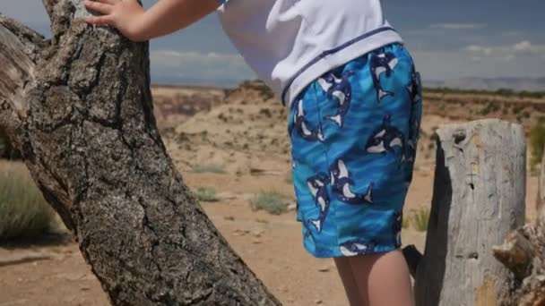 Egy fiú mászik a régi halott fa — Stock videók