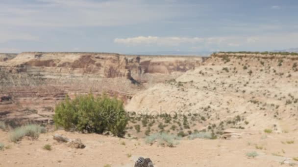 Um menino joga no desfiladeiro do deserto — Vídeo de Stock