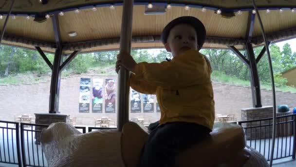 Een jongen een carrousel in de dierentuin te wachten om te beginnen — Stockvideo