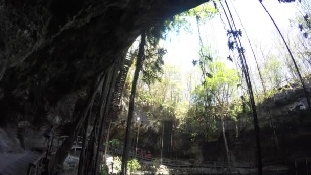 Eine Cenote bei ek balaam — Stockvideo