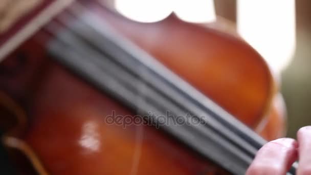 Kovbojské hry housle — Stock video