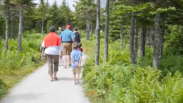 Uma caminhada em família a trilha do horizonte — Vídeo de Stock