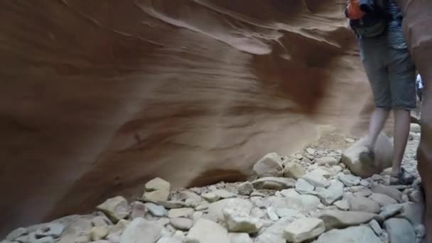 Een familie wandelen langs de canyon — Stockvideo