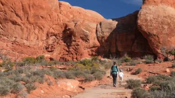 Wandelaars lopen in het arches national park — Stockvideo