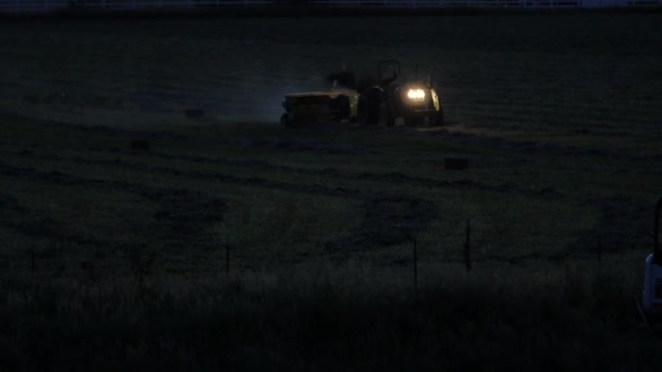 A farmer bailing hay in evening — Stock Video