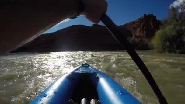 Отец и мальчики на каяках на реке Колорадо — стоковое видео