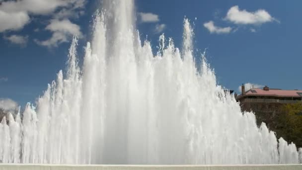 Ein lustiger Sommer-Wasserbrunnen — Stockvideo